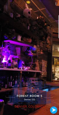 Photo of Forest Room 5 - Denver, CO, United States