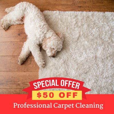 Royalty Carpet Cleaning & Floor Sales