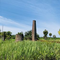 Butler Island Plantation