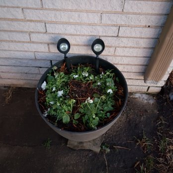CityScapes Landscape Services - a potted plant in front of a brick wall - Lawn Services Near Me - Oklahoma City, Oklahoma CityScapes Landscape Services - a potted plant in front of a brick wall - Lawn Services Near Me - Oklahoma City, Oklahoma