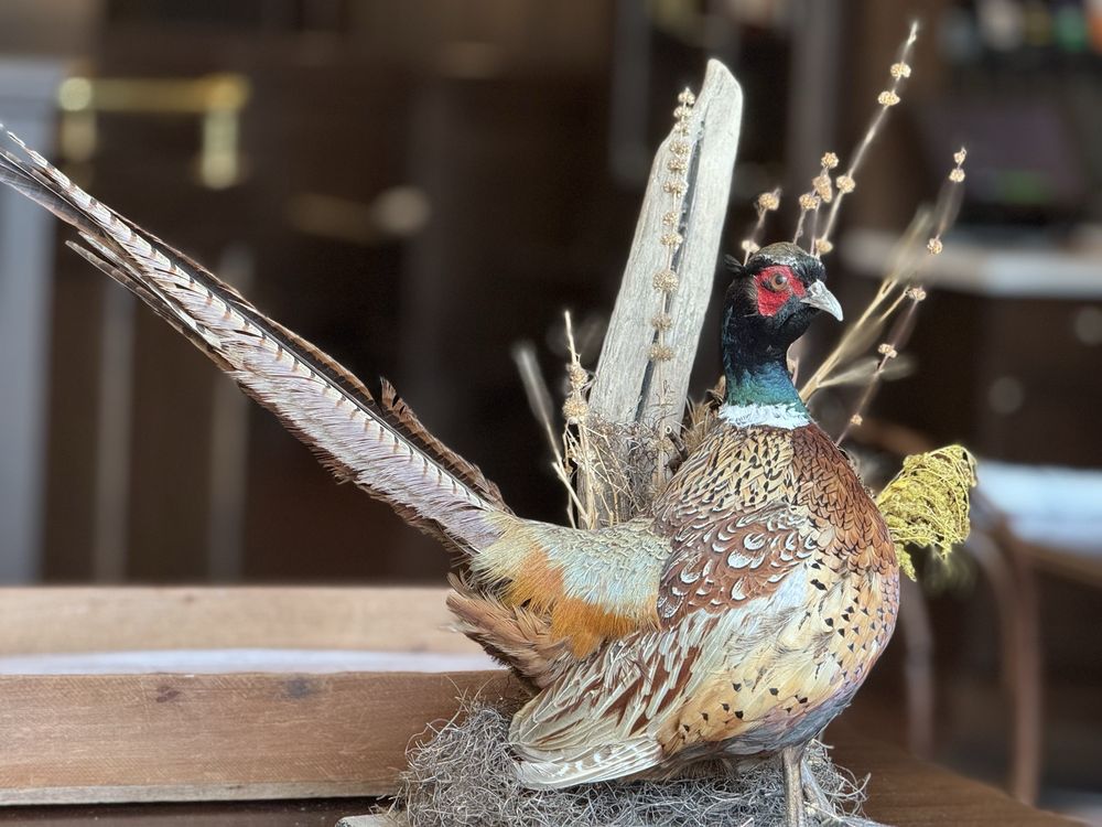 Food from The Huntsman Tavern & Restaurant