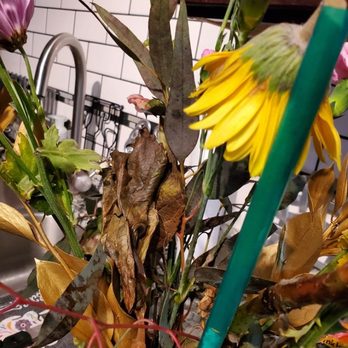 Edible Arrangements - Nasty slimy flowers - Gift Shops Near Me - Mount Prospect, Illinois