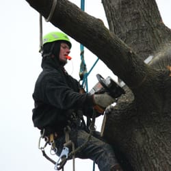 JR's Tree Service