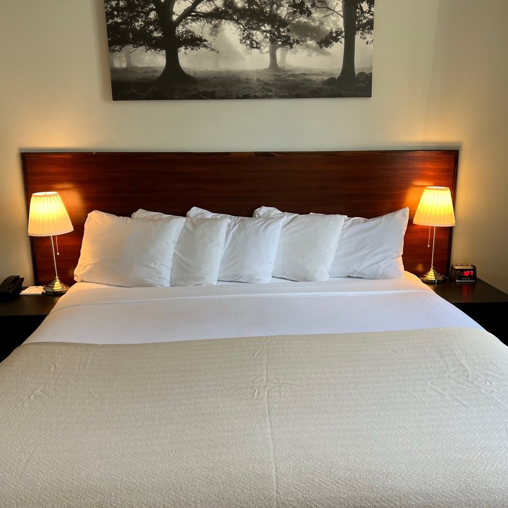 Wyndham Garden Hotel Manhattan Chelsea West Bed Bugs | Fasci Garden