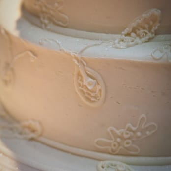 Das Meyer Fine Pastry Chalet - Close up of the bottom tier of our wedding cake - Bakeries Near Me - Arvada, Colorado Das Meyer Fine Pastry Chalet - Close up of the bottom tier of our wedding cake - Bakeries Near Me - Arvada, Colorado