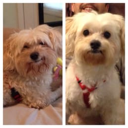 Before and after