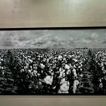Henry B Gonzalez Convention Center - Cotton photo mural. - Venues & Event Spaces Near Me - San Antonio, Texas