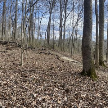 Orange Trail - Hiking Near Me - Prospect, Kentucky