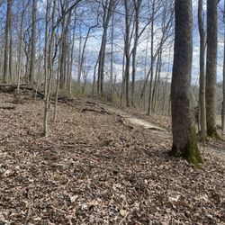 Orange Trail