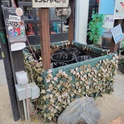 The Podski - Trash section