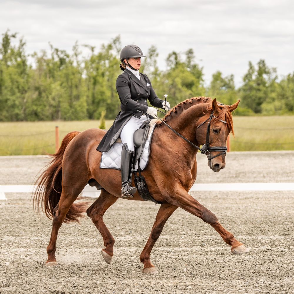 TOP 10 BEST Horseback Riding in Jasper, OR - Updated 2026 - Yelp