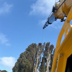 Julian Crane Rental