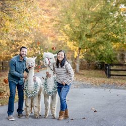 Lost Mountain Alpaca Ranch