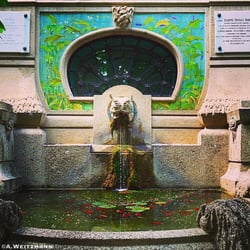 Acquario Civico