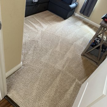 Juniors VIP - Carpet Cleaning Near Me