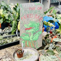 Young's Greenhouse & Flower Shop