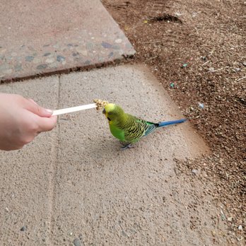 ESSEX COUNTY TURTLE BACK ZOO - 1438 Photos & 416 Reviews - 560