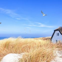 Favorent - Favorent ist die Ferienhausagentur, die alle Arten von Ferienimmobilien deutschlandweit zum Festpreis ab 49 Euro im Monat vermarktet.