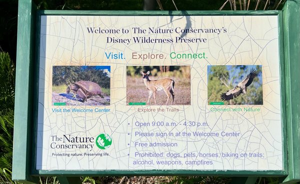 The Nature Conservancy's Disney Wilderness Preserve by null