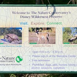 The Disney Wilderness Preserve