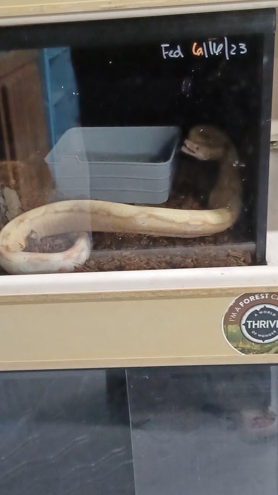 PARKS PETS Updated October 2024 1600 Rowesville Rd, Orangeburg, South Carolina Pet Stores