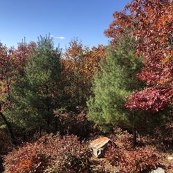 Campbell's Peaceful Valley Conservation Area - Nice colors from overlook