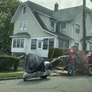 East Coast Tree Experts - Tree Services Near Me - Boonton, New Jersey East Coast Tree Experts - Tree Services Near Me - Boonton, New Jersey