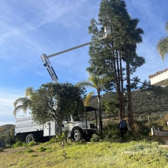 Leon Tree Service - Tree Services Near Me
