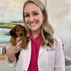 Carson Animal Hospital