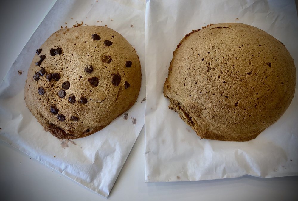 HONEY BERRY EVERGREEN Updated September 2024 800 Photos & 511