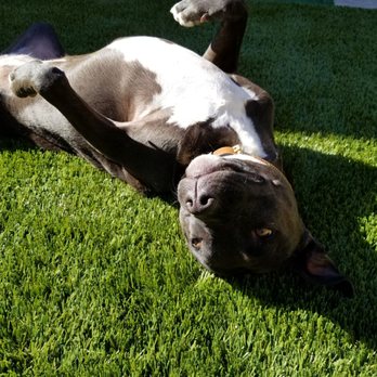 Green-R Turf - Artificial Turf Near Me - Corona, California Green-R Turf - Artificial Turf Near Me - Corona, California