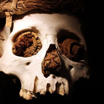 Ripley's Believe It or Not! - Museums Near Me - Branson, Missouri Ripley's Believe It or Not! - Museums Near Me - Branson, Missouri