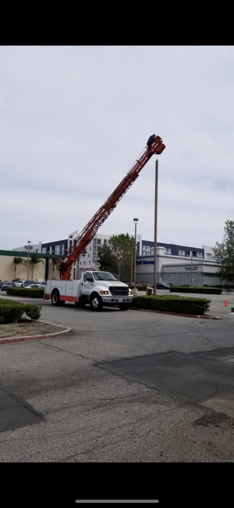 Slide of General Lighting & Electrical Services