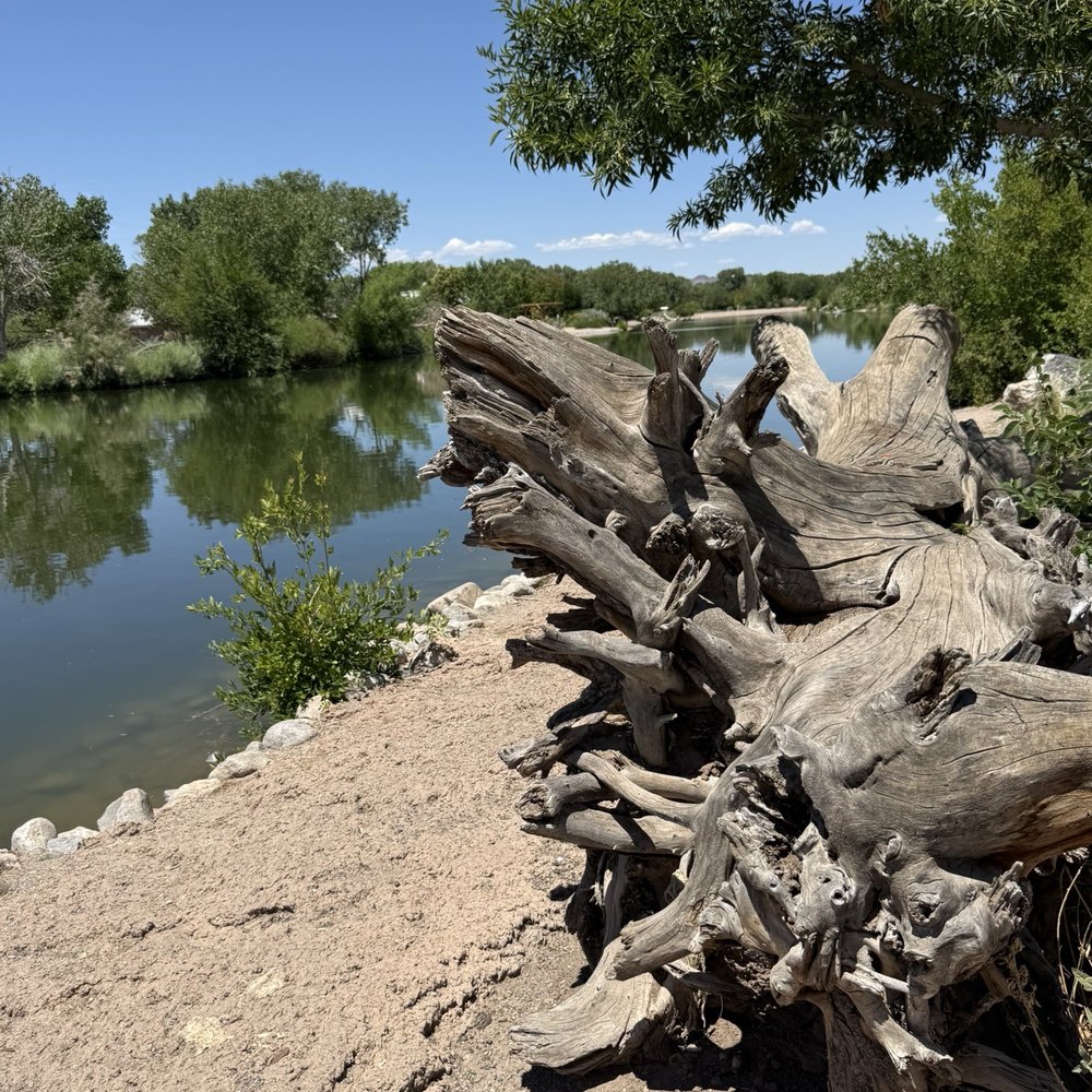 Tingley Beach - Beaches Near Me - Albuquerque, New Mexico Tingley Beach - Beaches Near Me - Albuquerque, New Mexico