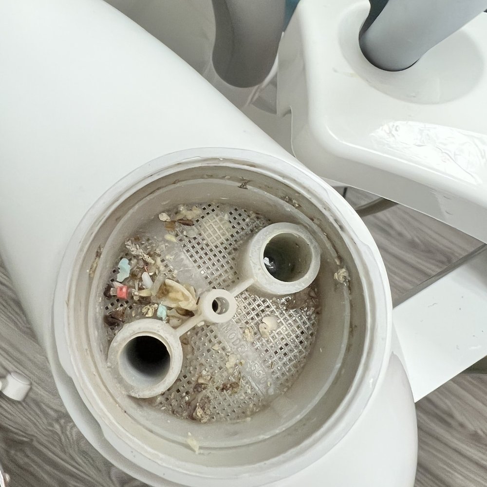 Bella Smiles - More traps not cleaned - Pediatric Dentists Near Me - Mt. Pleasant, Texas Bella Smiles - More traps not cleaned - Pediatric Dentists Near Me - Mt. Pleasant, Texas