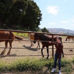 Madonna Inn Trail Rides - So many horses