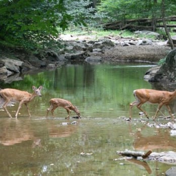 Great Falls Park - Parks Near Me - McLean, Virginia Great Falls Park - Parks Near Me - McLean, Virginia