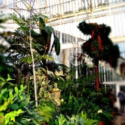 Botanic Gardens - Hot on a winter's day