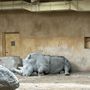 Photo of Granby Zoo