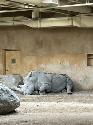 Zoo de Granby by null