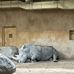 Granby Zoo