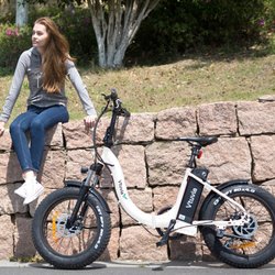 On The Lake Electric Bike
