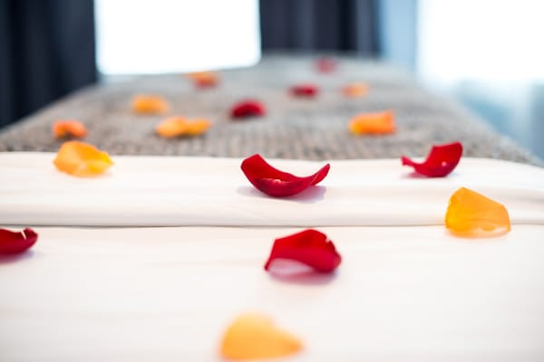 Serenity Wellness Spa by null