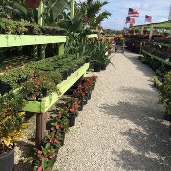 Sunkiss Nursery 31 Photos 26 Reviews Nurseries Gardening Sunkiss Nursery 31 Photos 26