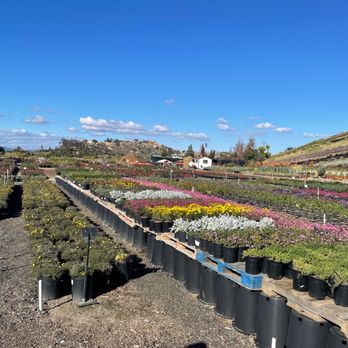 Waterwise Botanicals - Nurseries & Gardening Near Me - Bonsall, California