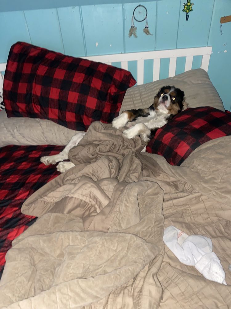 Slide of Castle Masters Mechanical