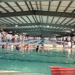 Nitro Swimming - Nitro!