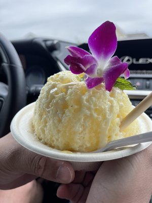 Waves Shave Ice by null