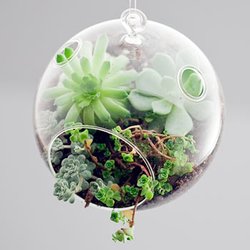 Rose Garden Florist - Terrarium