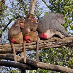 Zoo Augsburg